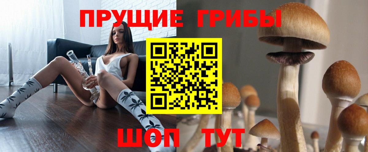 Иркутск  Псилоцибиновые грибы GOLDEN TEACHER  Псилоцибиновые грибы Psilocybe  Вход с VPN 